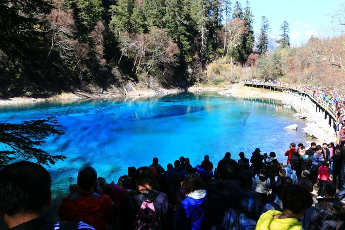 新鲜出炉​！2024年春节活动合集“龙”重登场