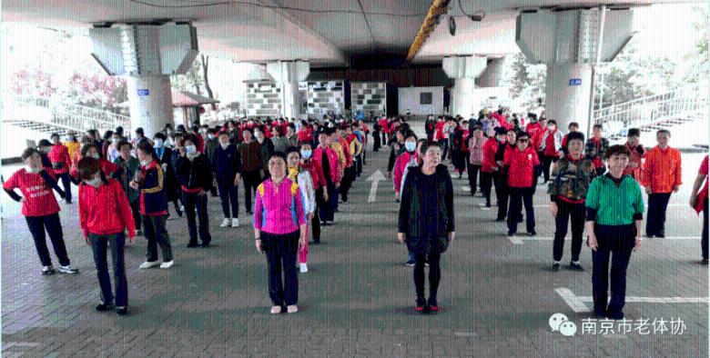 省十四届人大二次会议举行预备会议 王宁主持